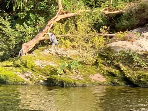 THE OLD SCHOOL BUNKHOUSE (Ingleton, Yorkshire) - Hostel Reviews ...