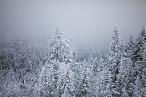 14 Must-Do Winter Activities in New Hampshire — Nichole the Nomad