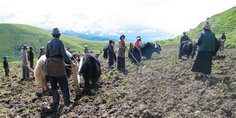 Image result for Land Management System Done Project