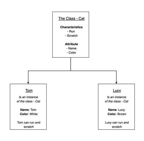 Learn Python Classes and Objects 的图像结果