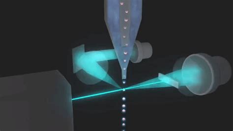 Image result for Fluorescent Activated Cell Sorting Lecture