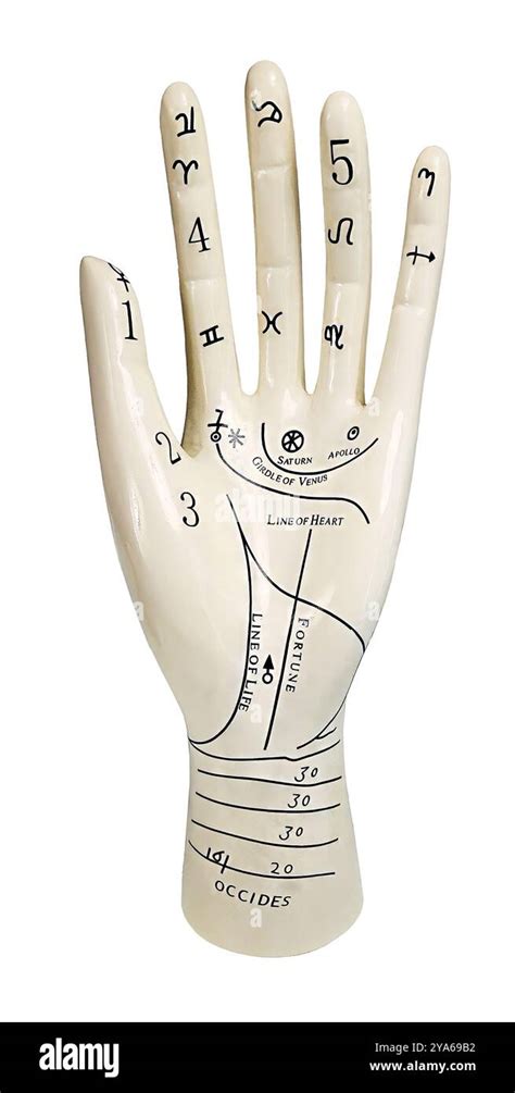 Image result for Palm Read