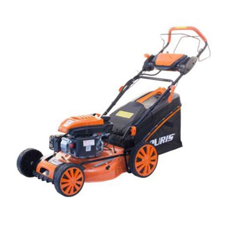 Benzinska kosilica RX19 Ruris 9385 | Volim svoj dom