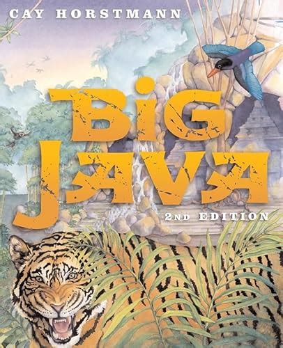 Image result for Big Java