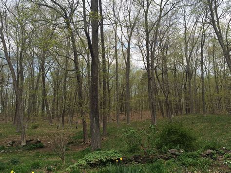 SOUND REACH (Guilford) - B&B Reviews & Photos - Tripadvisor