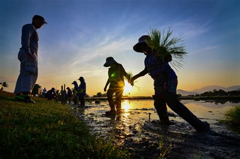 ClimBeR: Defining strategies to increase Filipino farmers’ climate ...