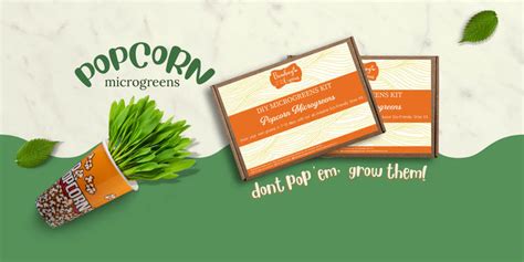 Micro Green Seeds - Organic Microgreens Kit Online in India