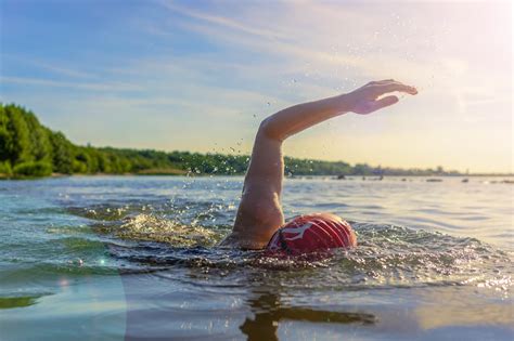 Swim in Sea 的图像结果