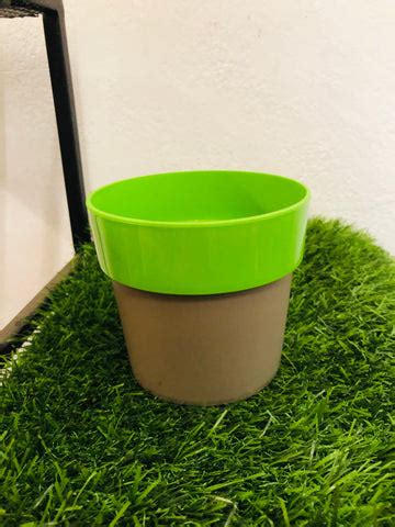 Arty 14 mix Colors Plastic Pot – hariththarang
