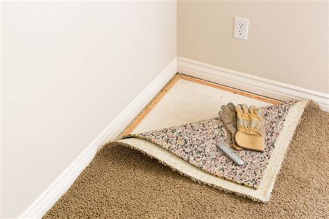 Image result for Carpet Padding