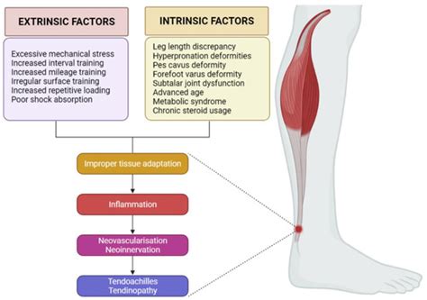 Application of Orthobiologics in Achilles Tendinopathy: A Review