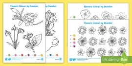 Eco Colouring Pages (teacher made) - Twinkl