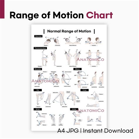 Range of Motion Chart: Printable ROM Reference Poster (A4 JPG) - Etsy