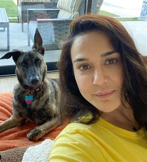 A stunning bungalow in Shimla to a luxurious LA home, all the multi ...