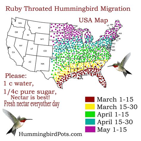 Image result for Interactive Hummingbird Migration Map