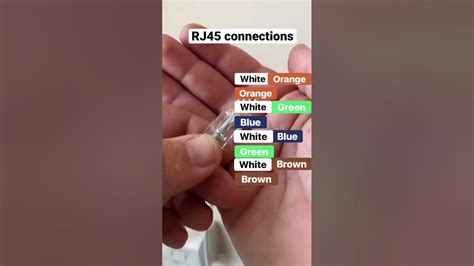 Image result for Conector RJ45 Installation