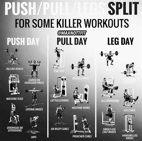 Pin by Marcus Shealy on Do You Even Lift? | Pull day workout, Workout ...