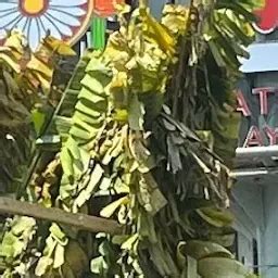 TTD Sri Padmavati Thaayaar Temple - Hindu temple - Chennai - Tamil Nadu ...