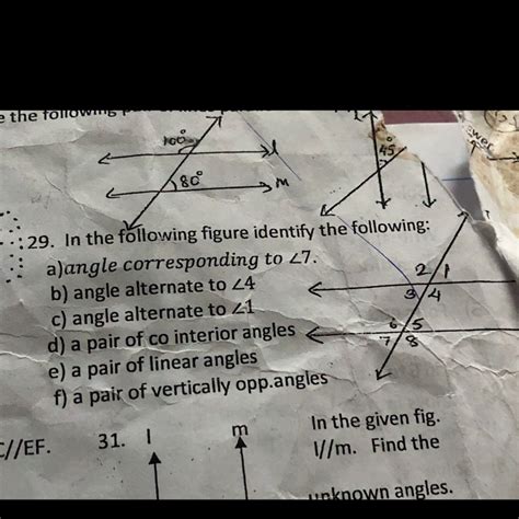 In the following figure identify the following - Brainly.in