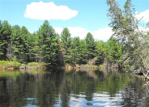 Image result for Invisible Filter