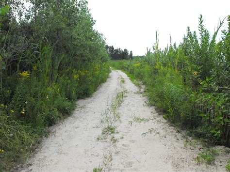 Image result for Invisible Filter