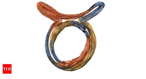 Debunking Myths About Taurus Zodiac Sign | Taurus Traits | - The Times ...