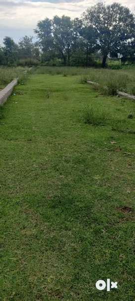 Lands & Plots for sale in Jammu | OLX
