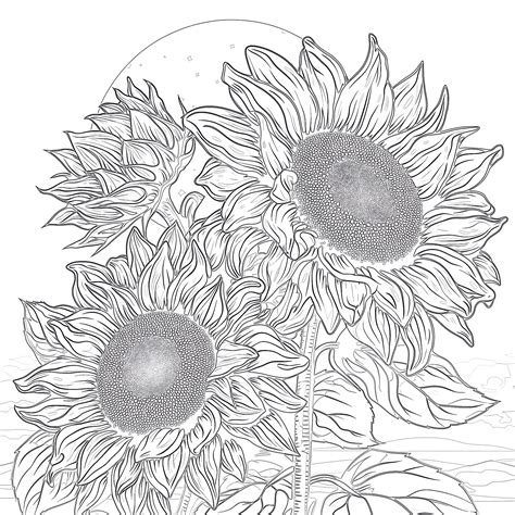 Adult Coloring Pages Sunflowers [2025]