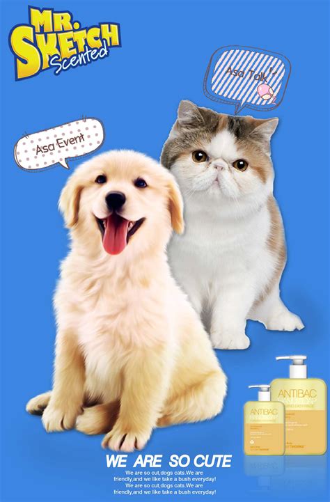 宠物用品 海报 可爱|平面|海报|Miya_Design - 原创作品 - 站酷 (ZCOOL)