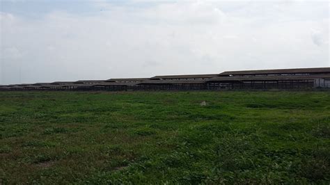 HSR is writing history with the world’s largest hay dryer - Heutrocknung SR