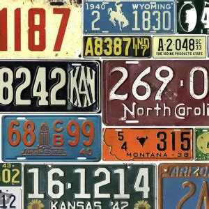 Image result for License Plate Reader Symbol