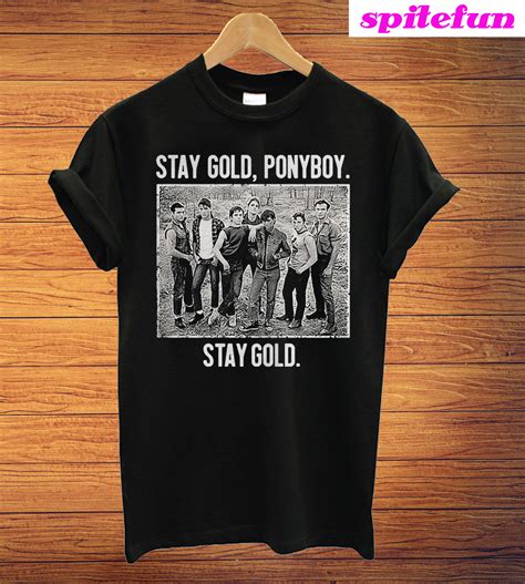 Stay Gold Ponyboy
