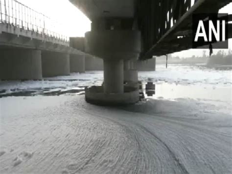 दिल्ली: यमुना में रोज घुल रहा जहर, नदी पर फिर छाई सफेद झाग की चादर - in ...