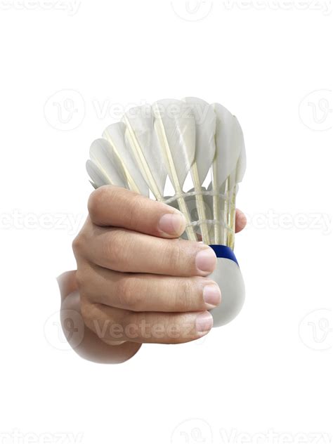 Badminton PNG 的图像结果