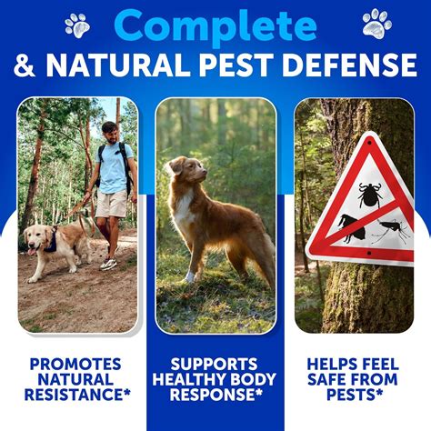 Artullano Flea and Tick Prevention for Dogs Chewables - Made India | Ubuy