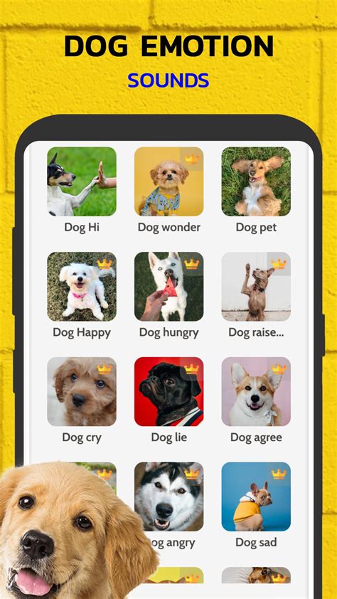 Dog Translator Machine 的图像结果