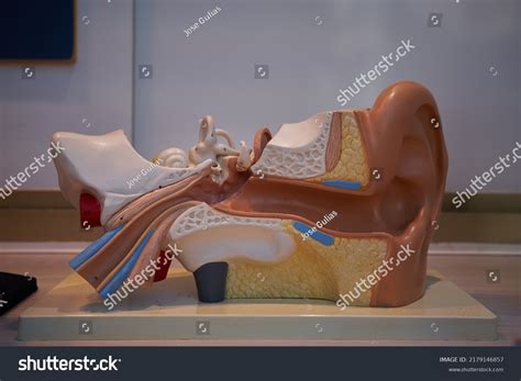 Rezultat imagine pentru Model Canals