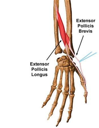 Image result for Examples of 6O2