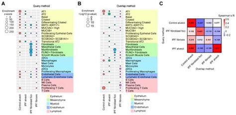 Novel Integration of Spatial and Single-Cell Omics Data Sets Enables ...