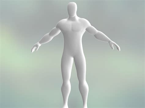 Image result for Basic Human Model