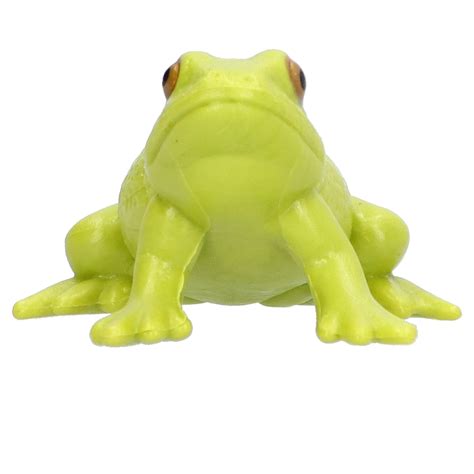 Buy Simulation Bullfrog Model, Children Bullfrog Model Unique Molded ...