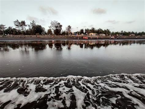 Rajodi Beach Road, Palghar - Things to Do, Timings & Photos