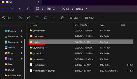 Image result for What Is Native File