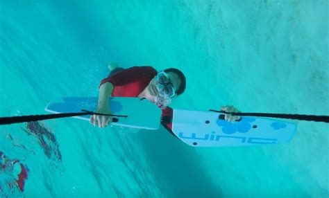 Image result for Flying Wing Sub