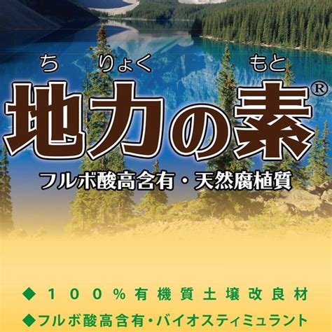 Image result for Computer User Interface