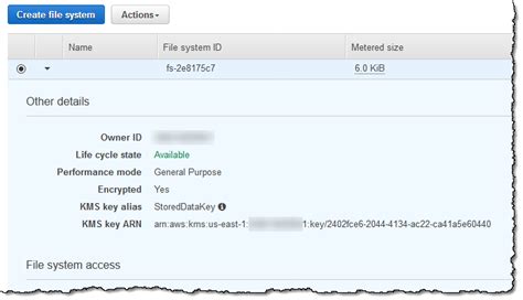 EFS Encryption 的图像结果