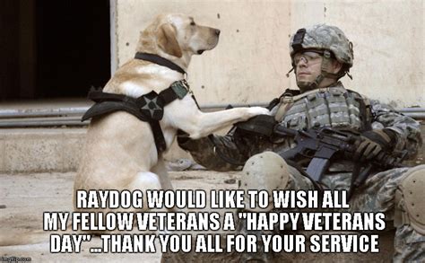 happy veterans day Memes & GIFs - Imgflip