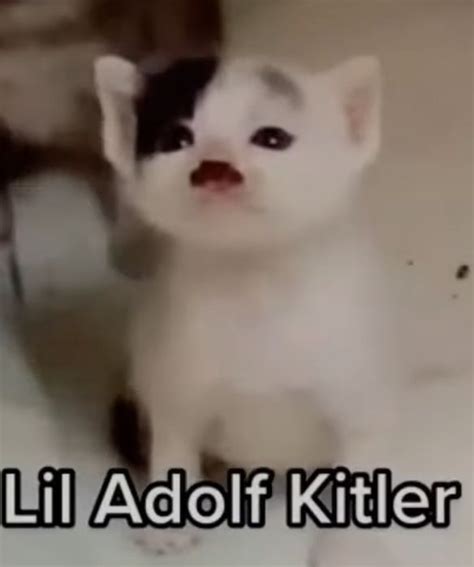 Lil Adolf Kitler - Memes - Worst Jokes Ever