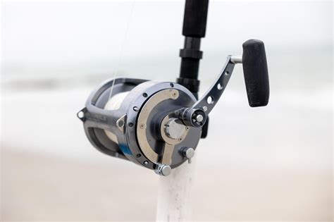 Shore-Based Shark Fishing in Florida: The Essential Tackle Guide | InShore | floridasportfishing.com