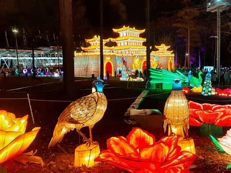 Chinese Food Festival Cary Nc at Ruth Townsend blog